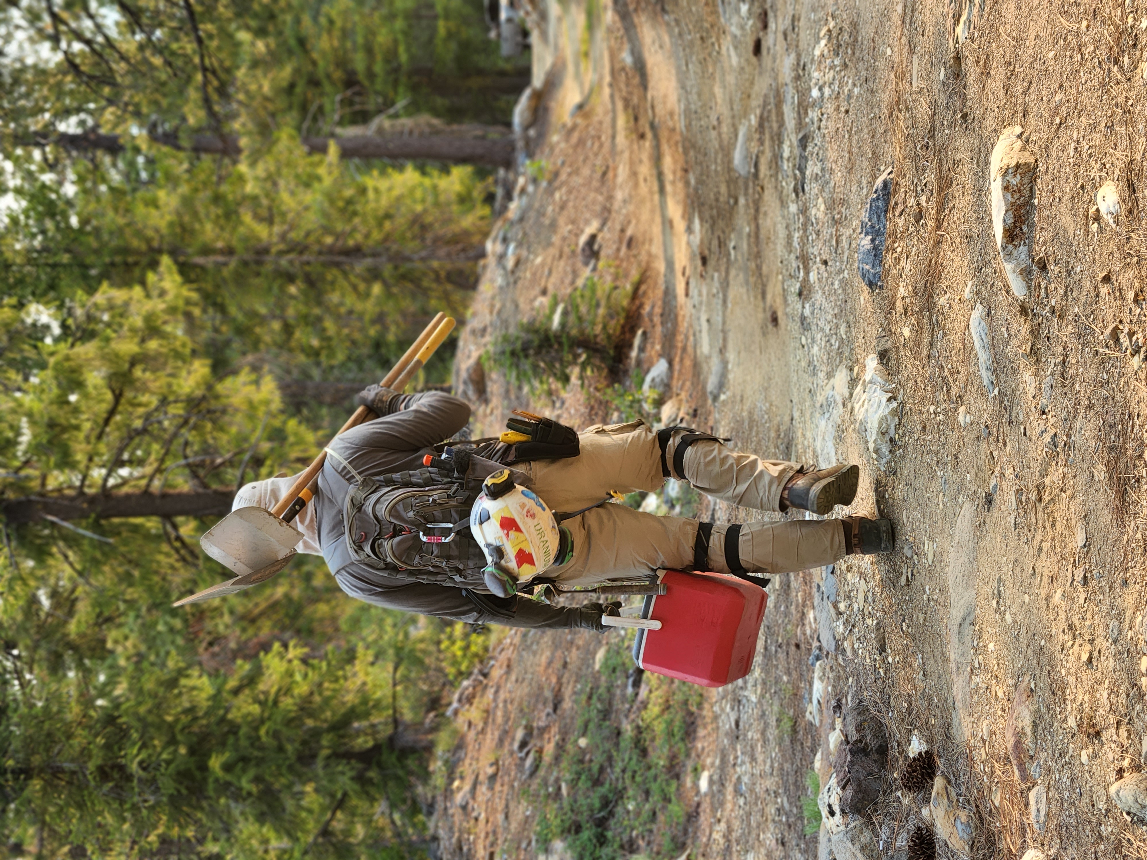 Mining professionals in the field