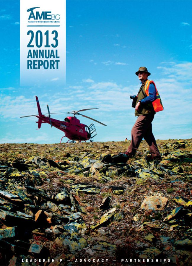 AME Annual Report 2013