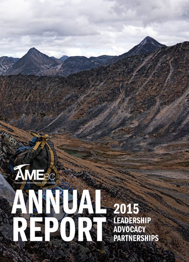 AME Annual Report 2015