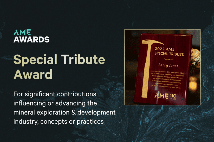 AME Special Tribute Award