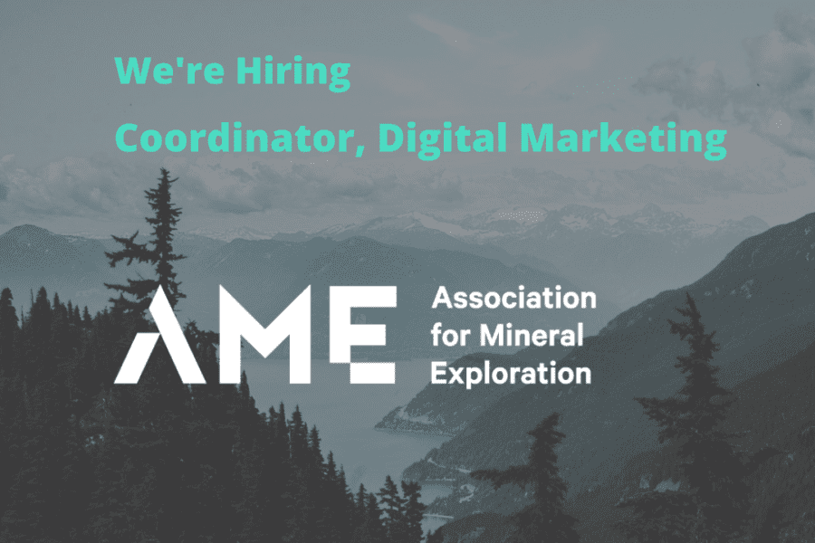 AME is Hiring | Coordinator, Digital Marketing