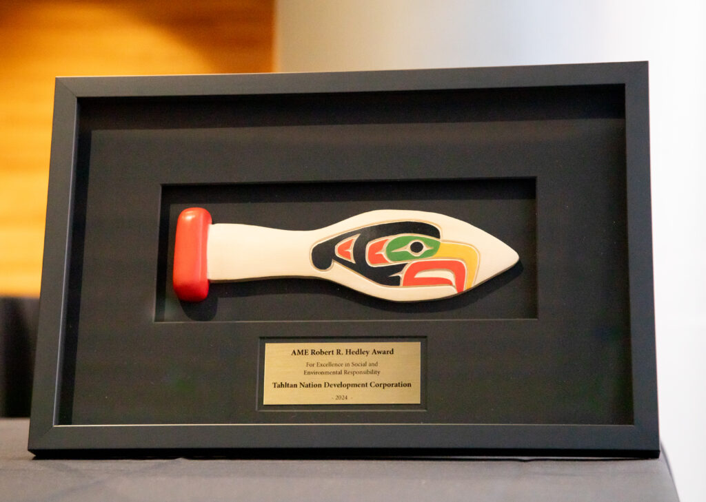AME Robert R. Hedley Award