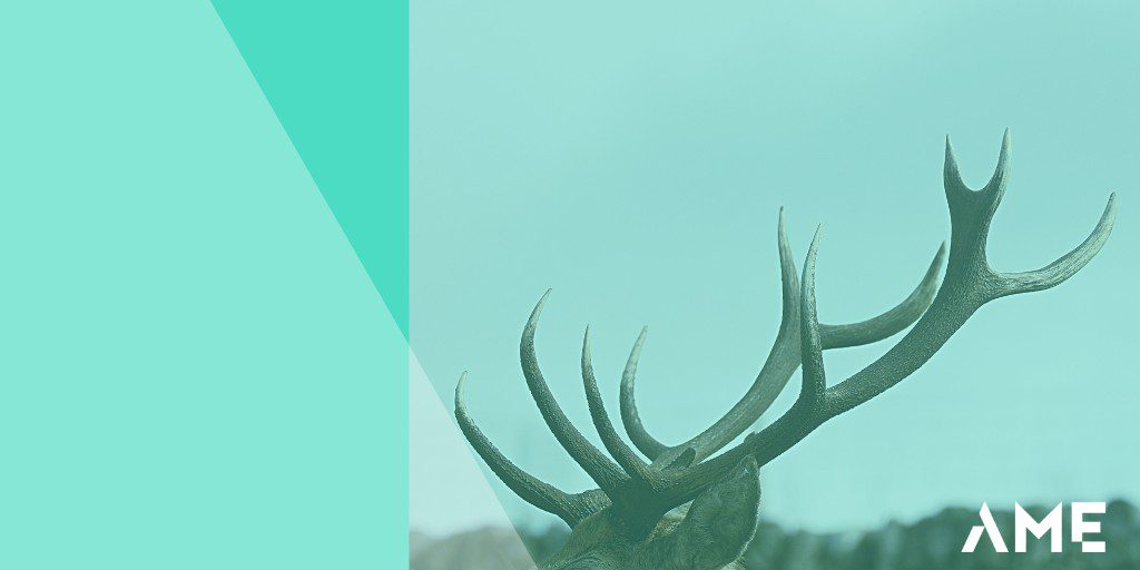 What to do About the Caribou?