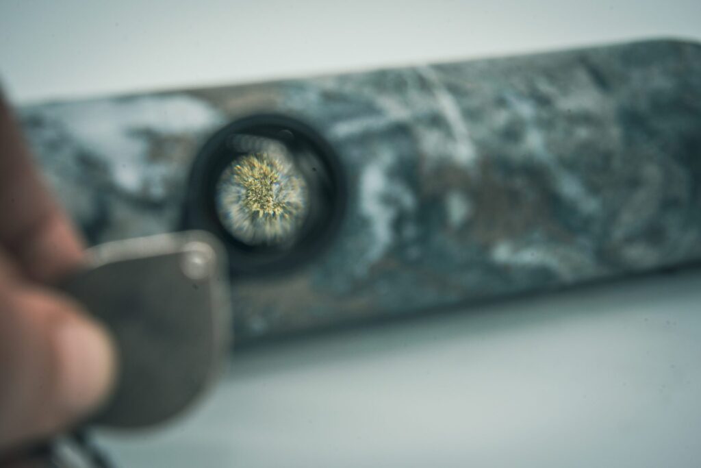 Critical Minerals for the Future