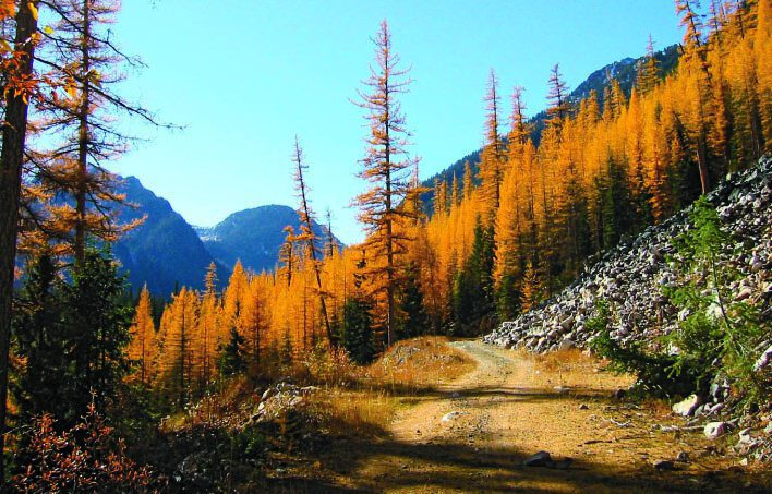 Natural Resource Road Act