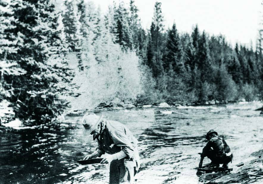Gold Rush at Rock Creek